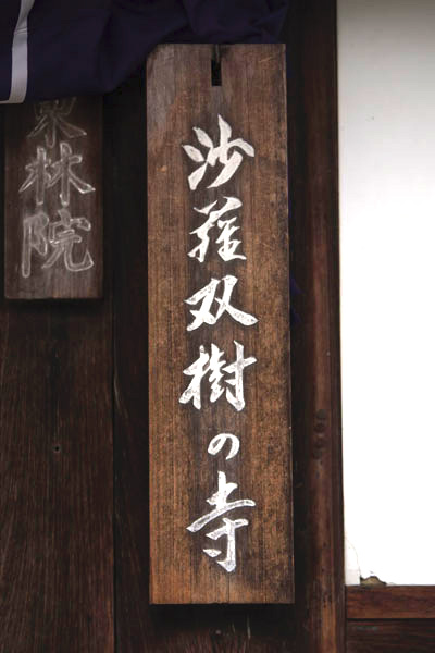 東林院(妙心寺塔頭)_e0051888_21201376.jpg