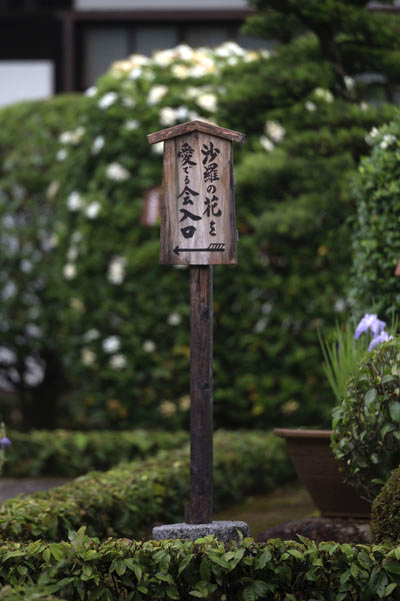 東林院(妙心寺塔頭)_e0051888_21202231.jpg