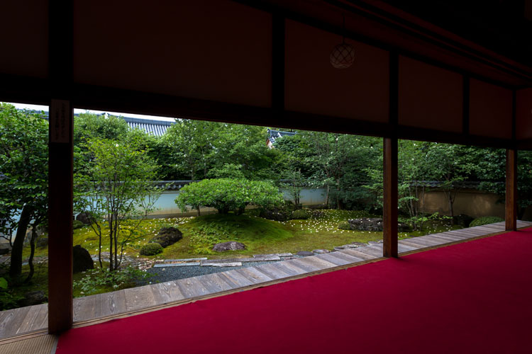 東林院(妙心寺塔頭)_e0051888_21203612.jpg