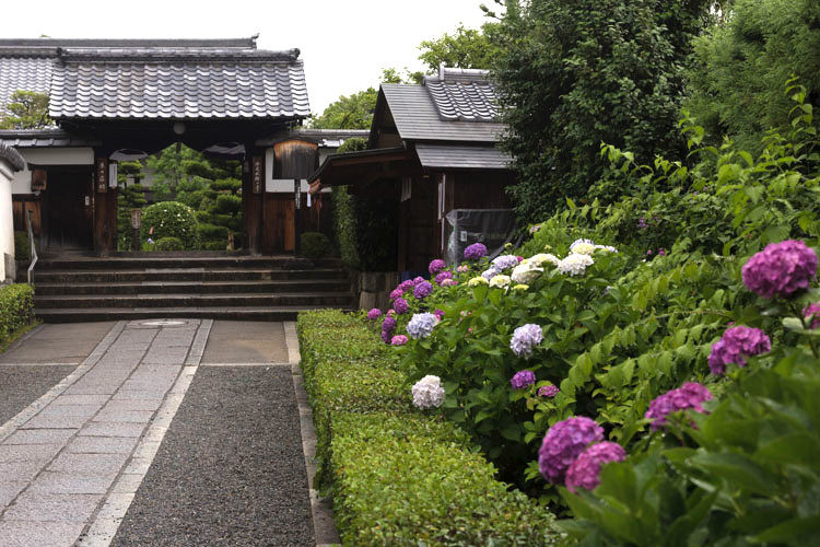 東林院(妙心寺塔頭)_e0051888_2120388.jpg