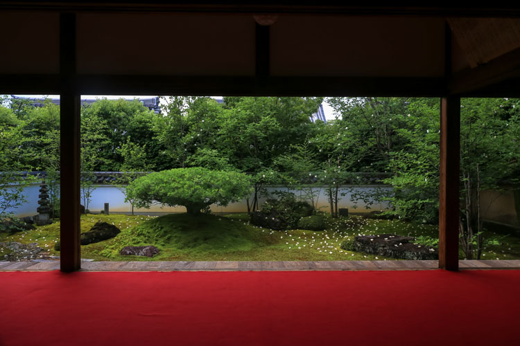 東林院(妙心寺塔頭)_e0051888_2121818.jpg