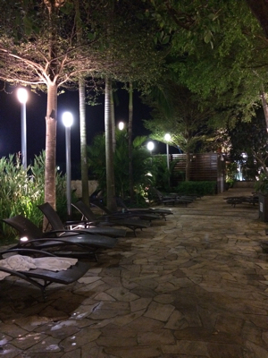 a0196698_16584916.jpg