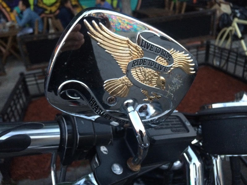 b0357502_23295817.jpeg