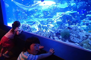 東京の旅 2016 【カイカイちゃんとお台場デート】_c0182012_957418.jpg