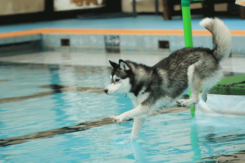b0207615_20421814.gif