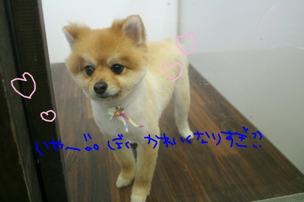 準備_b0130018_12042993.jpg