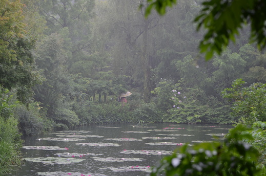 e0135518_14221833.jpg