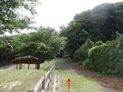 e0033751_1224070.jpg
