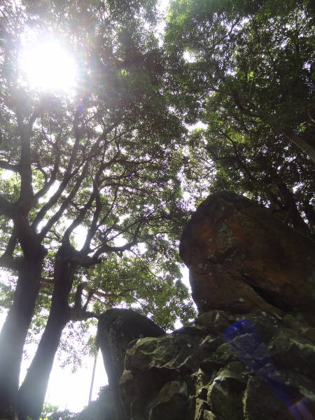 e0033751_1224163.jpg