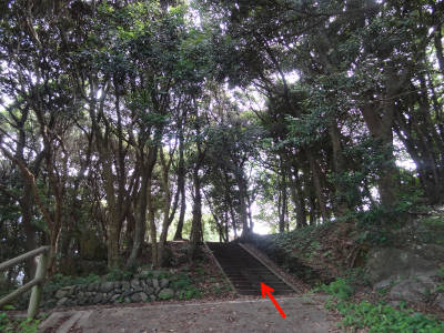 e0033751_1224176.jpg