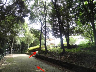 e0033751_1224238.jpg