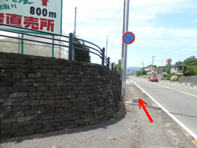 e0033751_1224646.jpg