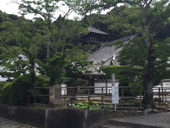 e0083155_12441951.jpeg