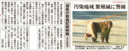福島の動物記録映画 4作目完成 汚染地域 繁殖減に警鐘 東京新聞 福島生きものの記録シリーズ4生命 瀬戸の風 福島の動物記録映画 4作目完成 汚染地域 繁殖減に警鐘 東京新聞 福島生きものの記録シリーズ4生命 瀬戸の風