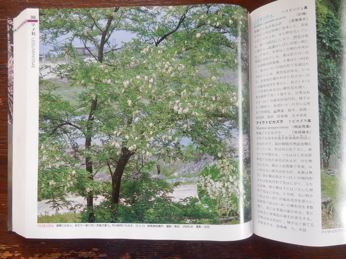 ’16,6,22(水)好奇心が止まらない!_f0060461_8585062.jpg