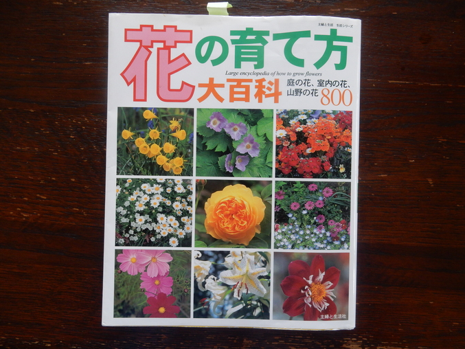 ’16,6,22(水)好奇心が止まらない!_f0060461_9117100.jpg