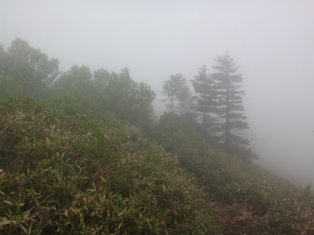 オサバグサの黒姫山（長野県信濃町）_d0182075_3531514.jpg