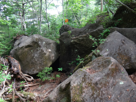 オサバグサの黒姫山（長野県信濃町）_d0182075_42629.jpg