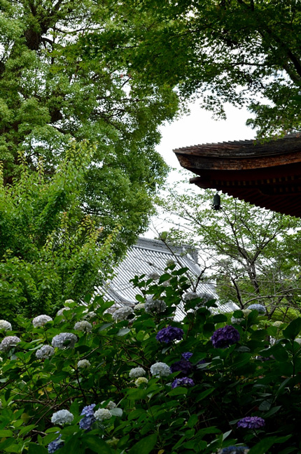 f0108478_18255946.jpg