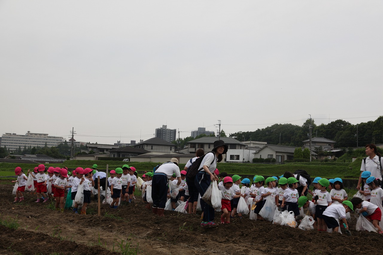 じゃがいも掘り(りんご組・年少組)_b0277979_17525930.jpg