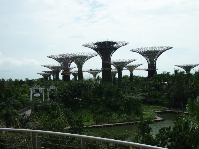 a0196698_13072500.jpg