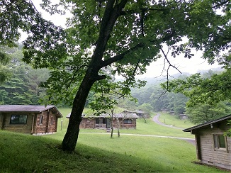 新緑の季節、自然の癒しから!_d0091909_8424444.jpg