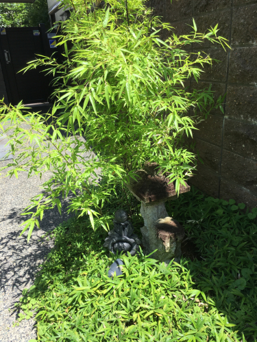 公示_d0184114_10303831.jpg