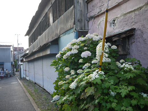 d0153627_16750.png