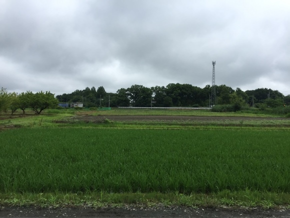 b0164428_23582185.jpeg