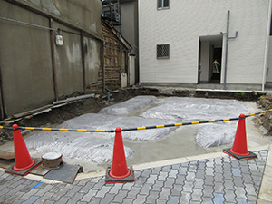 a0242238_1337598.jpg