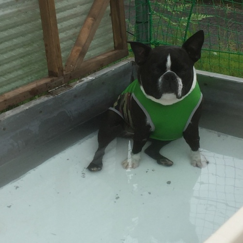 b0369239_16212761.jpeg