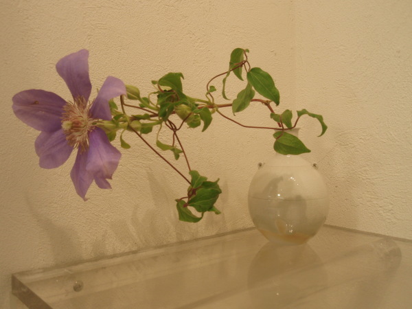 光藤佐展 2日目(6月23日)_b0132442_13315376.jpg
