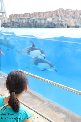 名古屋港水族館へ行く_e0214646_21474719.jpg