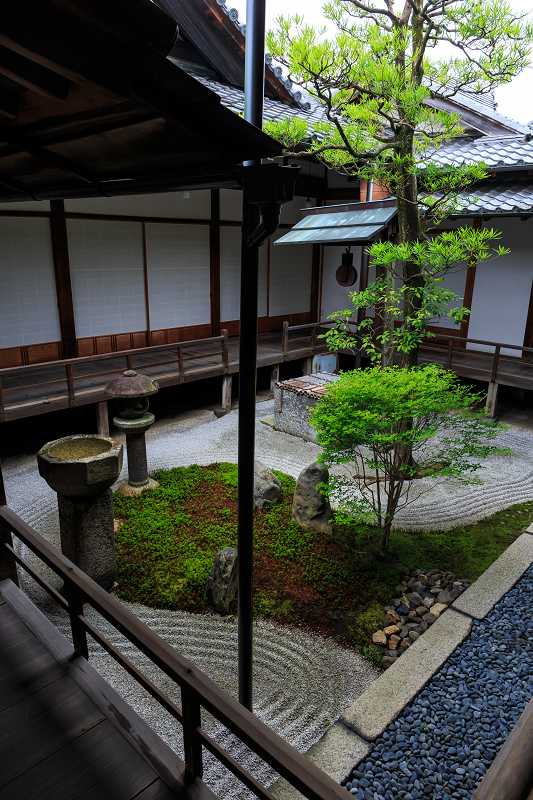 半夏生の庭（建仁寺塔頭・両足院）・前編_f0155048_20225696.jpg