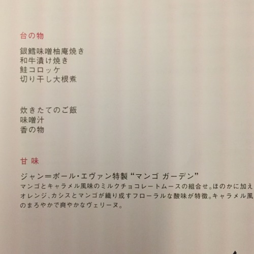 パリ旅16完 帰りの飛行機_b0228252_22523074.jpeg