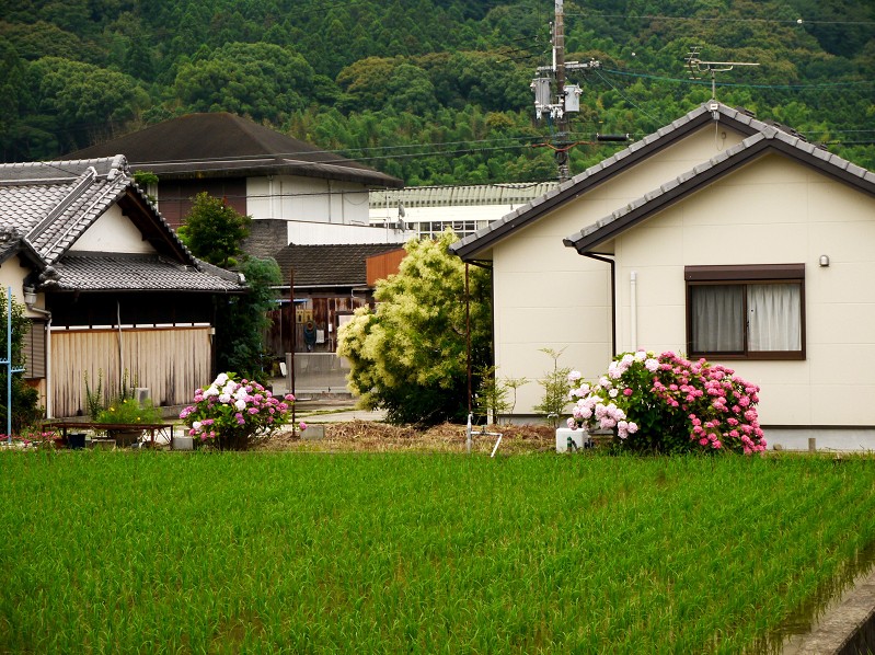 　　郊外にて_b0093754_2245694.jpg