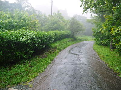 大雨により井戸が崩壊寸前！熊本県に今度は水害が襲っています！_a0254656_18122517.jpg