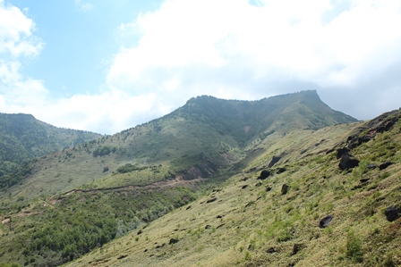 a0208560_1542290.jpg