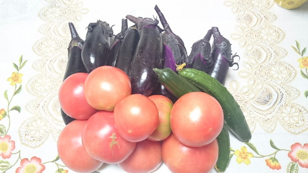 夏野菜_b0328361_22142175.jpg