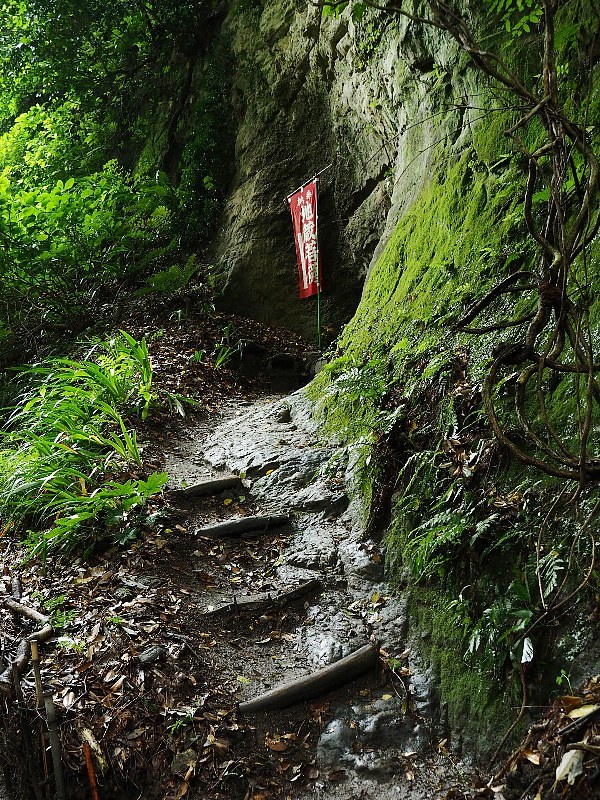 しっとり鎌倉へ　海蔵寺_a0330871_23023422.jpg