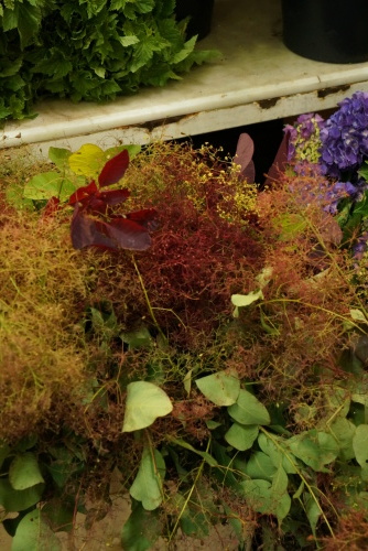 b0176275_20082216.jpeg