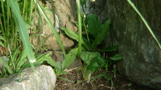 c0212083_21051445.jpg