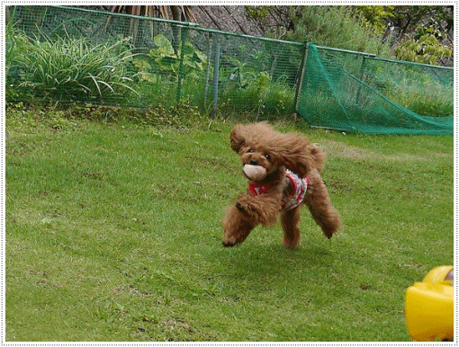 b0175688_23554652.gif