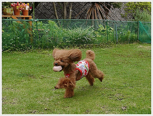 b0175688_23554901.gif