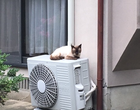 b0035391_23472922.jpeg