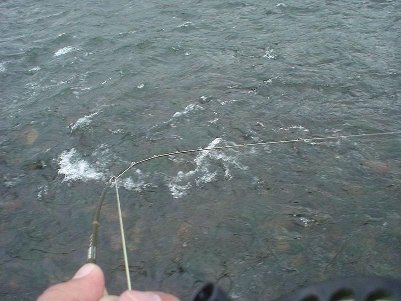 b0207491_17233498.jpg