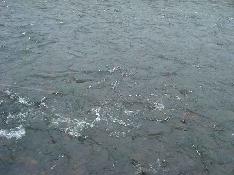 b0207491_17233872.jpg