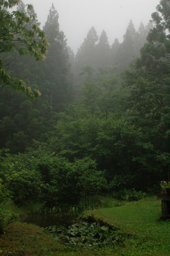 a0061599_74416.jpg