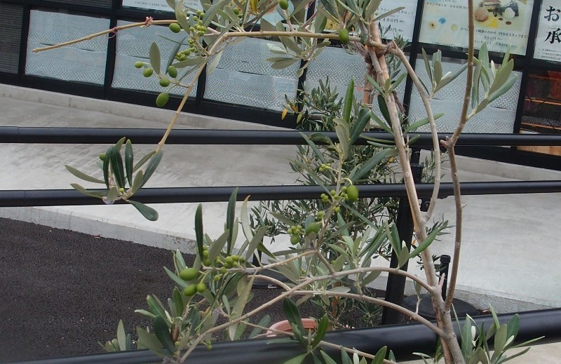 e0018604_17191013.jpg