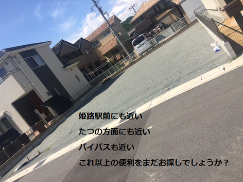 a0258409_10322826.png